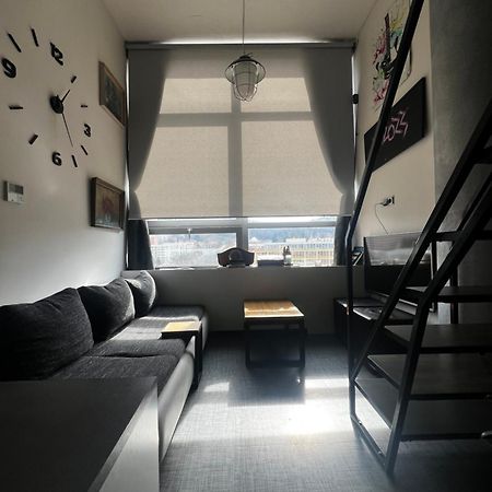 1 Bedroom Loft Apartment Zlín Екстериор снимка